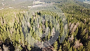 Grossofen - Scenic view of massive rock formation called Grossofen surrounded by idyllic forest in Modriach, Hebalm, Kor Alps