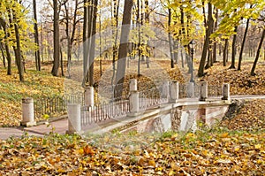 Grotesque bridge in autumn park