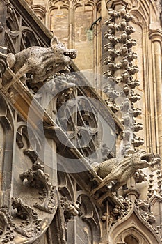 Grotesque, chimera and gargoyle sculptures on the facade