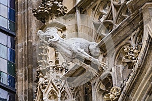 Grotesque gargoyle water spout sculpture on facade of gothic medieval St. Stephen`s Cathedral or Stephansdom in Vienna, Austria