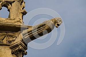 Grotesque, Notre Dame