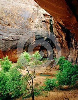 Grotto Arch, Canyonlands National Park, Utah