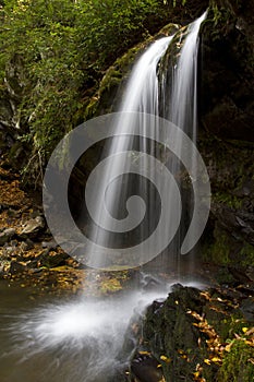 Grotto Falls in Great Smoky Mountains NP