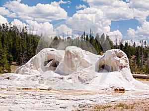 Grotto Geyser in Yellowstone National Park, Wyoming, USA