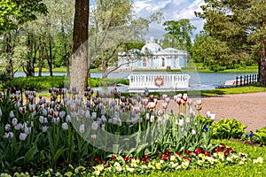 Grotto pavilion and spring tulips in Catherine park, Tsarskoe Selo Pushkin, St. Petersburg, Russia