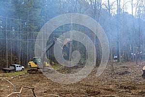 Ground is being prepared for a house wit help of an excavator that uproots trees in forest