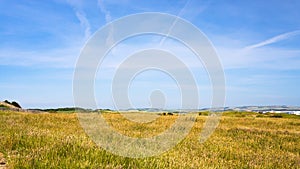 ground on Cap Gris-Nez in France