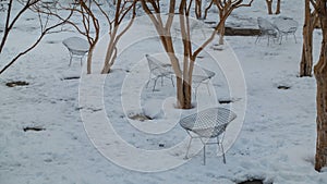 The ground in the city park is covered with snow.