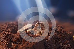 Ground coffee and grains macro shot. Smoke from freshly roasted coffee beans