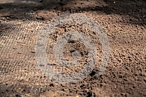 Ground covered with net