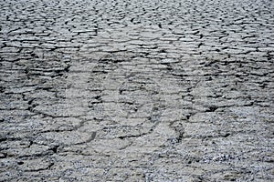 Ground crack Arid view and hardship