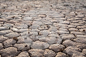 Ground crack texture background