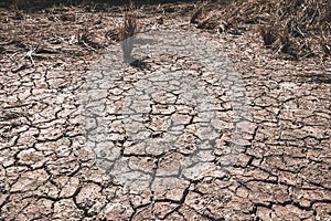 The ground cracks caused by drought caused by water shortages
