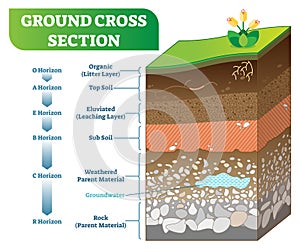 Ground Cross Section vector illustration with organic, topsoil, subsoil and other horizon levels. photo