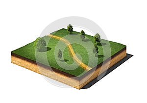 Ground cutaway with grass, trees and footpath on white photo