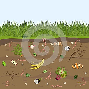 Ground cutaway with worms and food scraps. Pink earthworms in garden soil. Recycling organic waste. Farming and agriculture