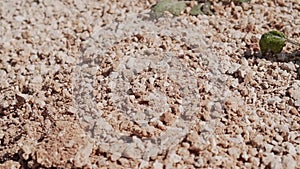 On the ground in the desert rolling stones. Slow playback. Impact.