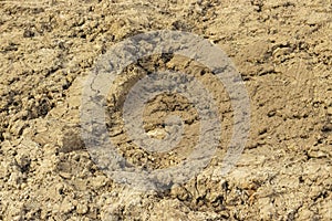 Ground dirt soil soil sand clay alumina texture background close-up