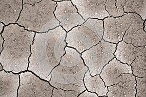 Ground dried and cracked background