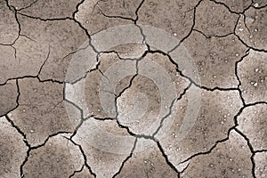 Ground dried and cracked background