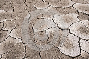 Ground dried and cracked background