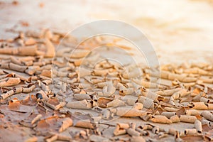 Ground in drought,soil texture and dry mud,land with dry cracked ground