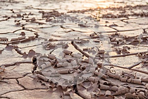 Ground in drought,soil texture and dry mud,land with dry cracked ground