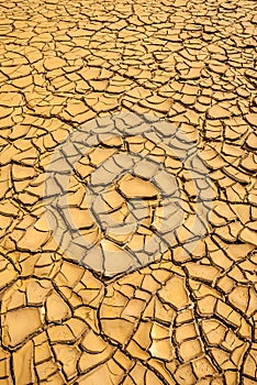 Ground in drought, soil texture and dry mud, produced by deforestation