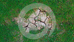 The ground is dry, with cracks, being surrounded by green grass.