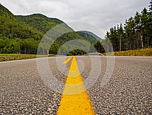 At Ground Level On The Cabot Trail In Nova Scotia