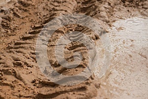 Ground level ECU view muddy jungle road with serrated tire tracsk visible near mud pool