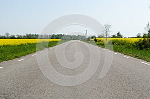 Ground level view of an asphalt road with rapeseed fields by roadside