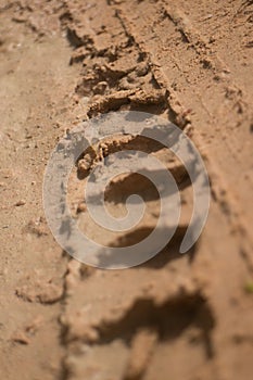 Ground level view vertical ECU muddy road with knobbed tire tracks