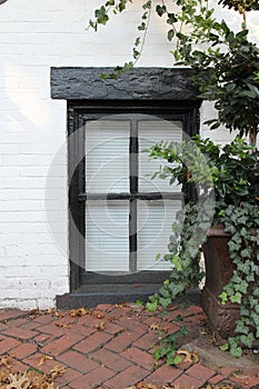 A ground level window photo