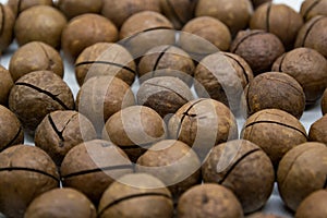 The ground of macadamia nut with shell, macadamia healthy fruit background, macadamia nut organic with shell, selective focus