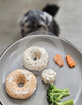 Ground meat dog food in donut and dog paw shape with carrot and broccoli