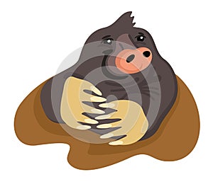 Ground mole cute cartoon vector isolated