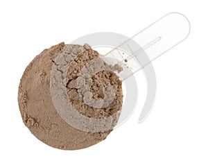 Ground plant protein in a measuring scoop