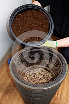 The ground is poured into a decorative flower pot. Soil for palm trees. Plant transplant concept