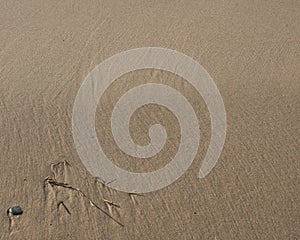 Ground ripples sand background