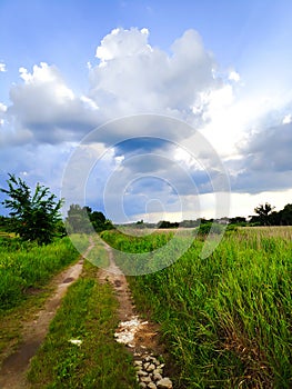 Ground road through green field against blue beautiful sky with clouds, scenic bright rural countryside nature landscape