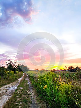 Ground road through green field against pink purple beautiful sky during sunset at summer, scenic bright rural