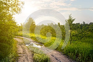 Ground road among green fields in a light of sun