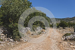 ground road through a hilly terrain in Croatia