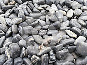 Ground rock texture rough black background