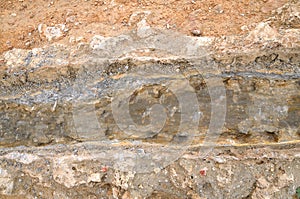 Ground Rocks Texture