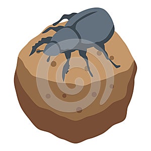 Ground scarab icon, isometric style