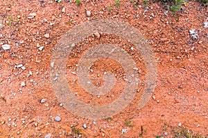 Ground Texture. View of Dirt and Stones.