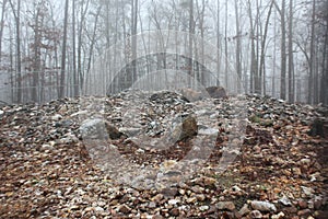 Ground view of Rock Hawk Effigy Mound photo