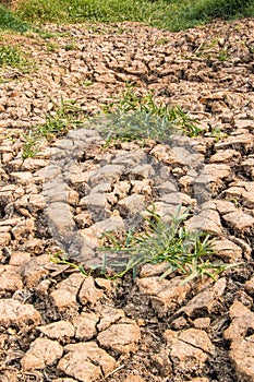 The ground water in the parched